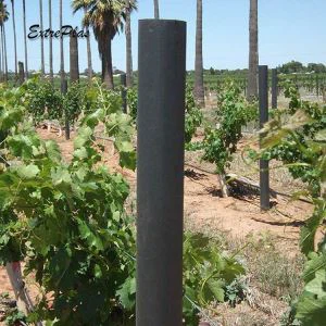 Vineyard Post